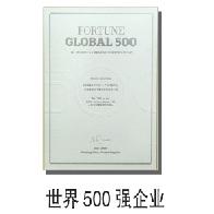 世界500强企业